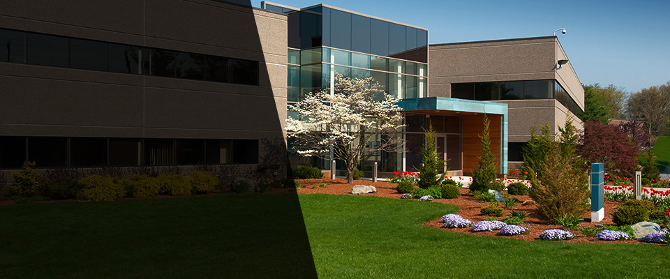 Chapel Hill Landscapers