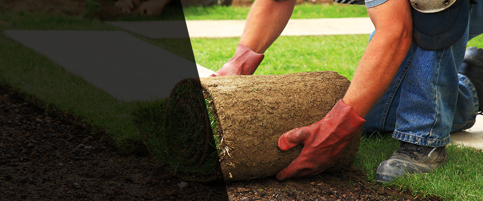 Chapel Hill Landscapers